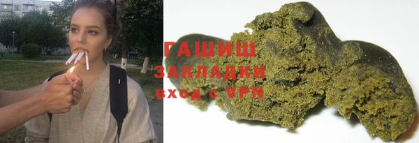 стаф Алзамай